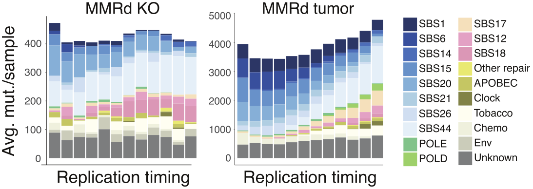 MMR figure